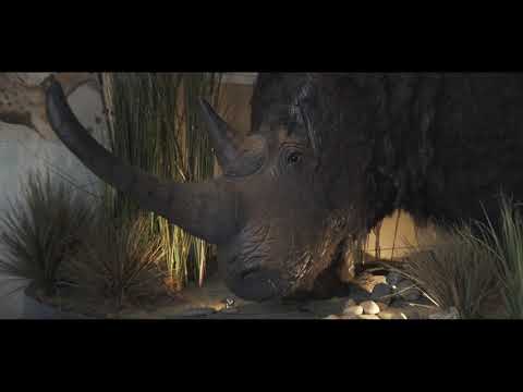 Historyland museum 2020