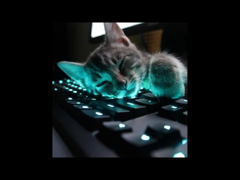 *SOLD* Hyperpop x Sqwore x rizza x LXNER type beat - "party" (Prod. Anonimoch x pinkcat)