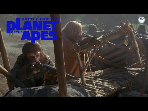 🎬RESUMEN Y OPINIÓN !!! Batalla por el Planeta de los Simios (1973)🎬