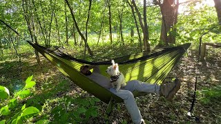 Hammock Camping in the Forest