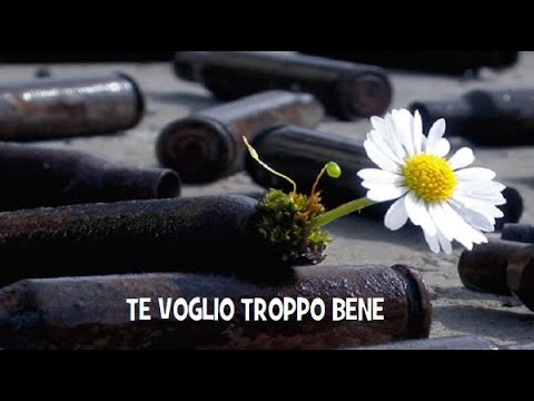 Te Voglio Troppo Bene ✜ Andrea Sannino ✜ Franco Ricciardi