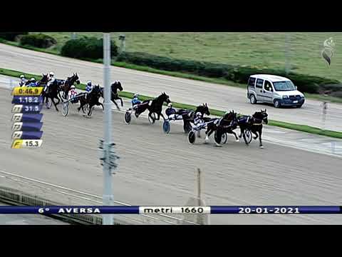 Aversa trotto 20 Gennaio 2021 - 6° Corsa