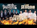 Los Inquietos Del Norte Y Los Amos De Nuevo León Puros Corridos Chingones Mix 30 Grandes Éxitos