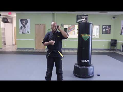 Lesson Plan 3: Combatives: Palm Strikes