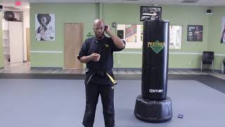 Lesson Plan 3: Combatives: Palm Strikes
