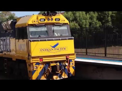 "Indian Pacific" 3AS8 NR27 & DL44 passing Werrington