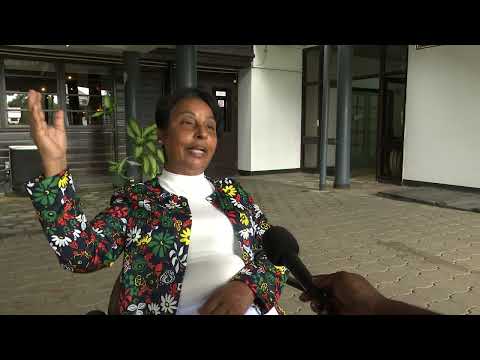 Description or Alt Text