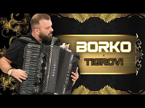 BORKO RADIVOJEVIC - KOLO miks - POZAREVAC 2024