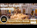 Natural History Museum - Full Tour - Washington, DC - Smithsonian 4K