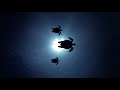 Relaxing Night Ambient Sound Cricket Swamp Song At Night Sleep And Relaxation Meditation