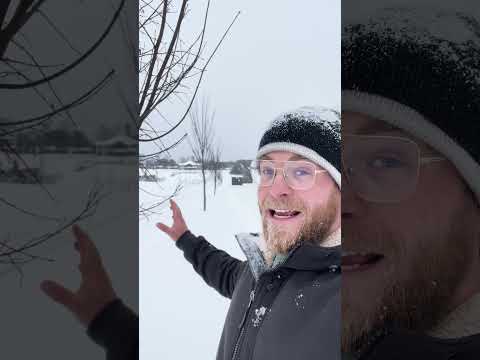 You Shouldn’t Plant American Elms