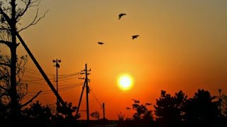 夕暮れ