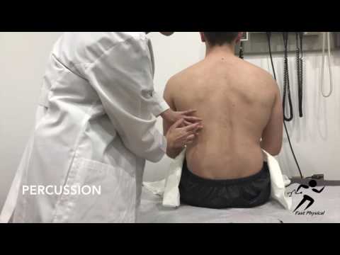 Pulmonary Exam - Percussion