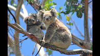 Hotel Adabco in Adelaide (South Australia - Australien) Bewertung und Erfahrunge