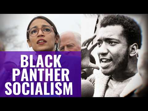 Were The Black Panthers Socialists