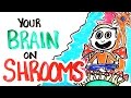 Your Brain On Shrooms Your Brain On Shrooms