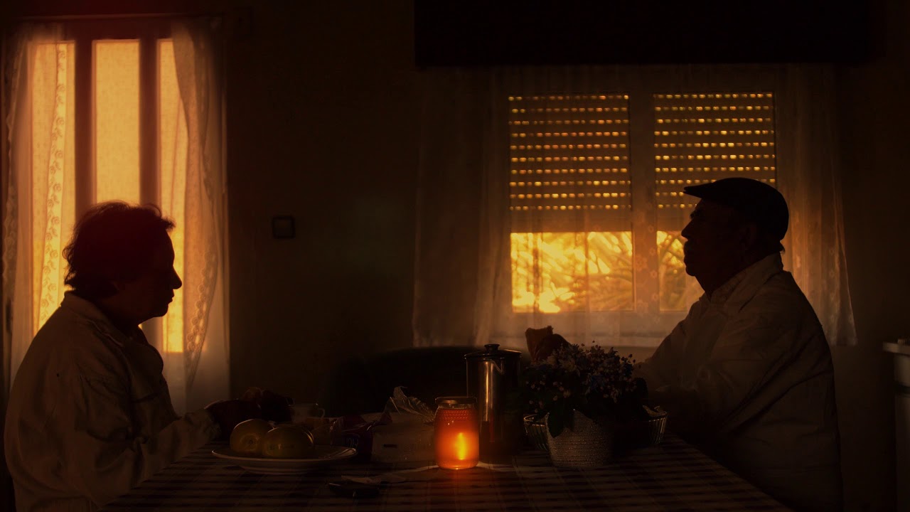 Bee Together (Short-Film) - Teaser - A film by Tiago Iúri