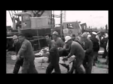 Mark Seymour - Westgate (Bridge collapse | 15 October 1970)