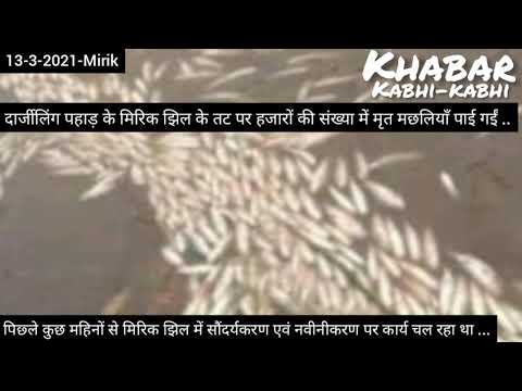 Thousands of fish found dead in Mirik Lake in Darjeeling hills