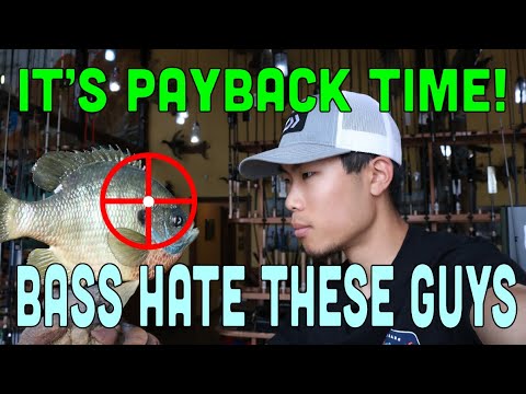 What Are My Favorite Baits to Catch Bass During The Bluegill Spawn??