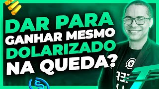 O QUE FAZER QUANDO ESTIVER DOLARIZADO? DAR PARA GERAR LIQUIDEZ, FAZER STAKING E GANHAR RECOMPENSAS?