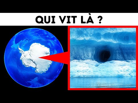 Une étrange grotte avec des escaliers a été découverte en Antarctique