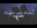 Twilight and Shadow (Lord of the Rings cover)