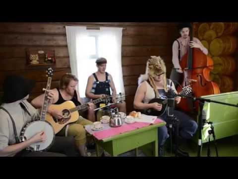 Seek And Destroy by Steve'n'Seagulls (LIVE)