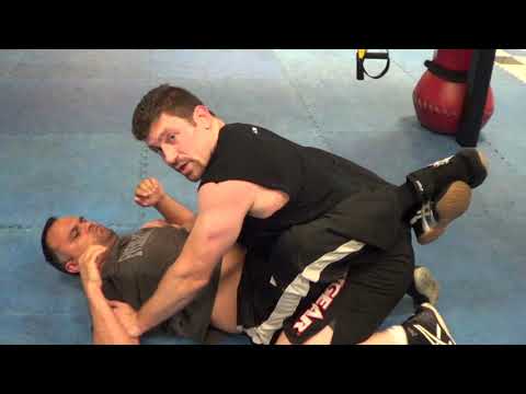 Learn Basic Jiu-Jitsu Submissions UFC MMA!