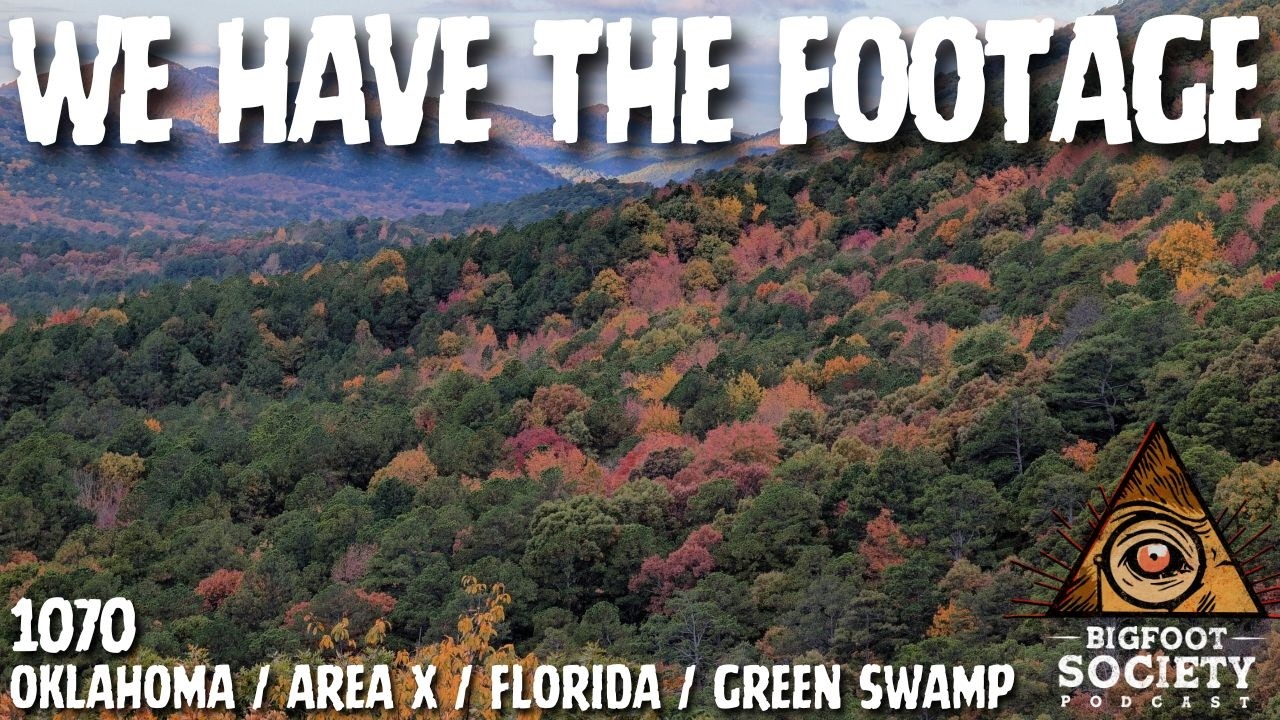 A NAWAC Researcher Shares New Encounters And Activity From Area X