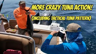 Wild Tuna Fishing Adventure You Have to See!