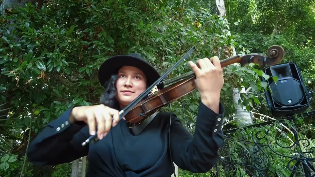 Promotional video thumbnail 4 for Eli Ann Music