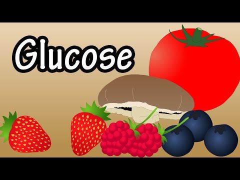 Glucose - What Is Glucose? - Foods High In Glucose - How Glucose Affects The Body