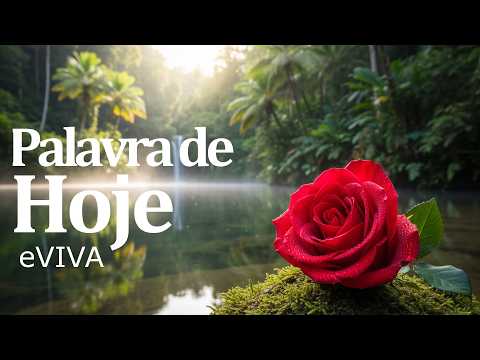 Vídeo: Mensagens 1 de Março: perguntas e respostas da data