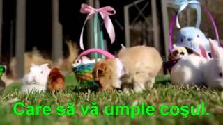 Download lagu Urare de Sfintele Sarbatori Pascale mp3