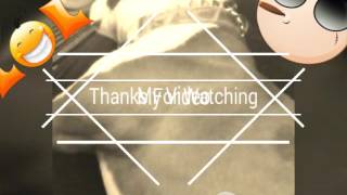 On the road again with my cute lazy dog