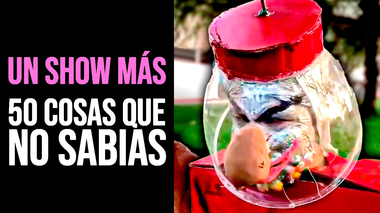 UN SHOW MÁS: 50 Cosas que NO SABÍAS | Curiosidades
