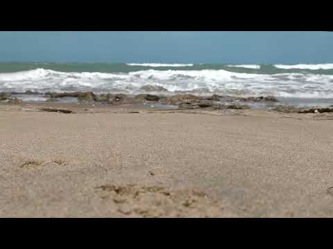 Chico César e Jade Baraldo - Like