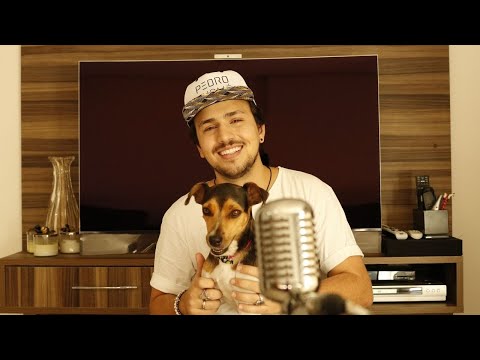 MASHUP - Pabllo Vittar x Lourena X Sant x RAPBOX x Mr. Dan x Daniel Caesar/H.E.R - Pedro Thomé