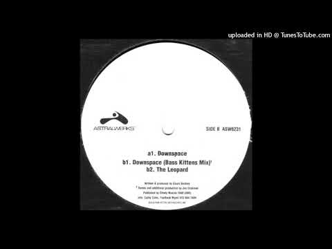 Freaky Chakra-The leopard