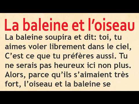 Learn french with stories. French stories for beginners  L'oiseau et la baleine