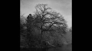 JOE PASK - Camins oposats (amb Senior)