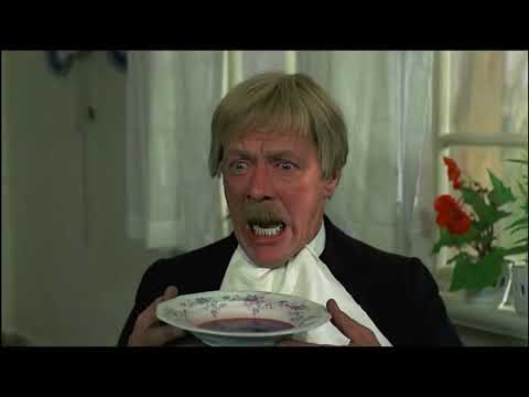 Michel aus Lönneberga fällt durch Fenster