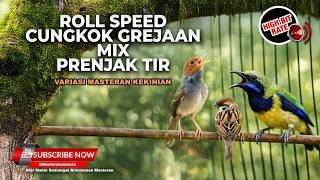 Download lagu 🔴 Live Roll Speed Cucak Cungkok Grejaan Sambung Prenjak Betina Tir Panjang Kesukaan Juri mp3