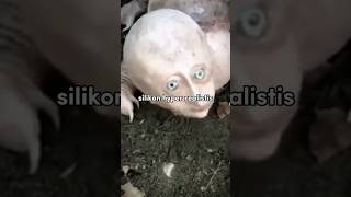 Download lagu Hyper Armadillo: A terrifying creature that reportedly attacked farmers in India #lethologicaman mp3 Download lagu Hyper Armadillo: A terrifying creature that reportedly attacked farmers in India #lethologicaman mp3