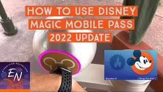 How to Use Disney Magic Mobile Pass | Complete guide to setting up and using Magic Mobile Pass!