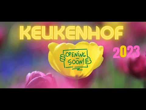 🌷KEUKENHOF 2023 🌷Flower paradise Holland 💜💚 opening soon ⌛season start 23.3.🟣SCHÖNSTER BLUMENPARK 🟢