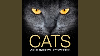 Macavity, The Mystery Cat (From Cats the Musical)