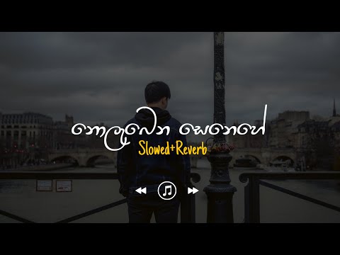 Heena Kendana Adare - නොලැබෙන සෙනෙහේ (Slowed+Reverb)