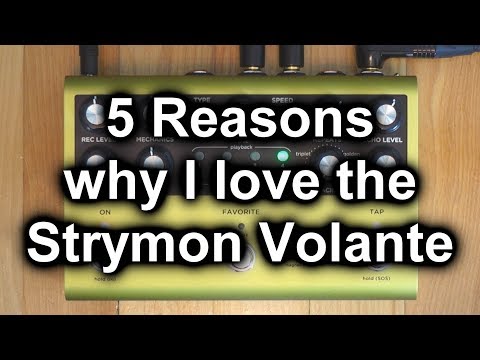 5 Reasons Why I Love the Strymon Volante